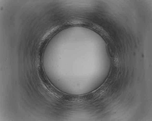 X0000071770732200607211531