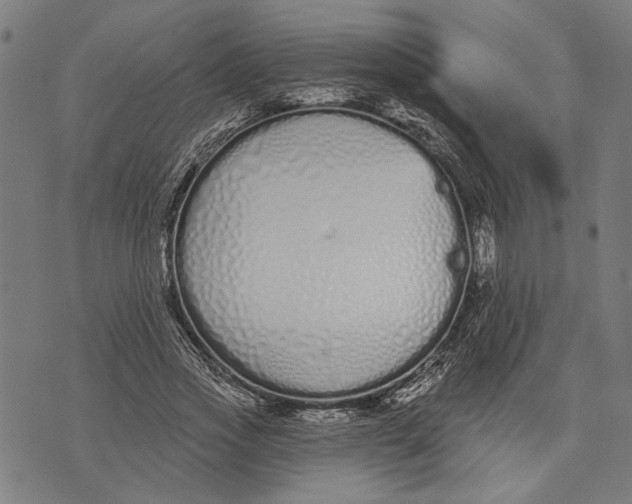 X0000071770733200607211531