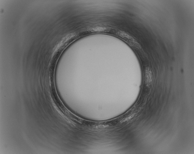 X0000071770734200607211531