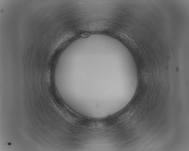 X0000071770735200607211531