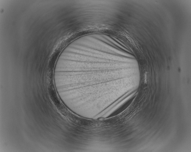 X0000071770736200607211531