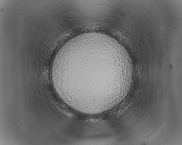 X0000071770737200607211531