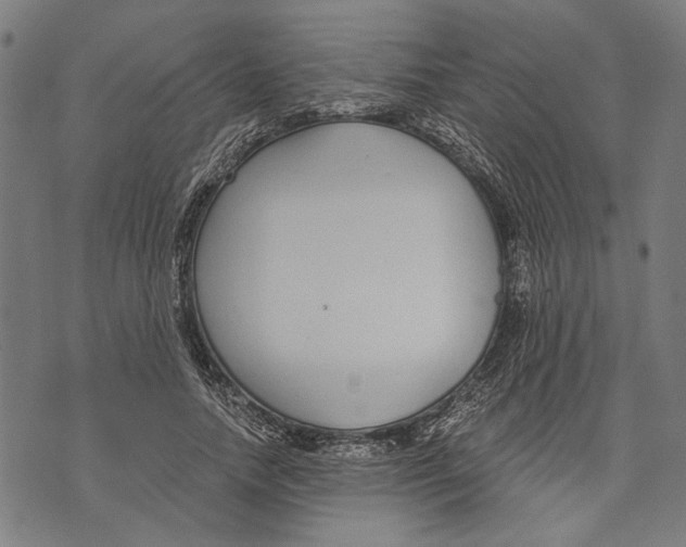 X0000071770738200607211531