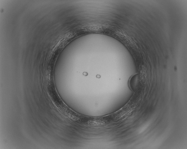 X0000071770739200607211531