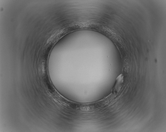 X0000071770740200607211531