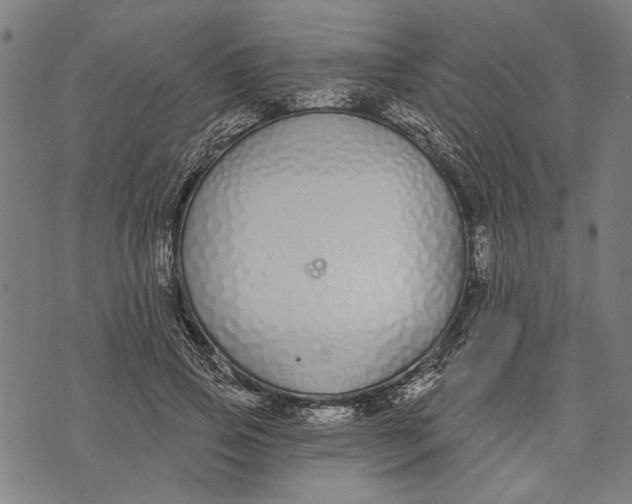 X0000071770741200607211531