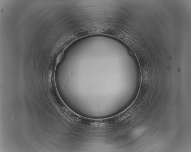 X0000071770742200607211531