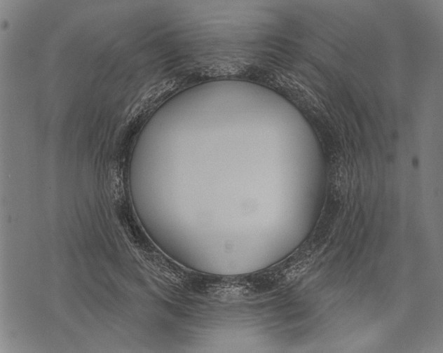 X0000071770743200607211531