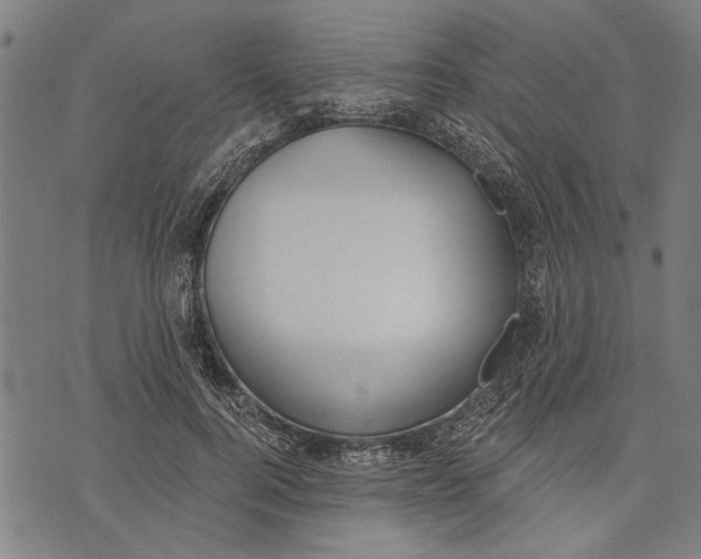 X0000071770744200607211531