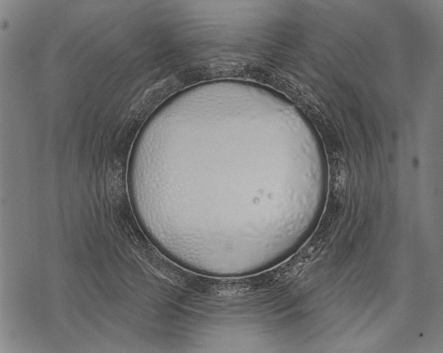 X0000071770745200607211531