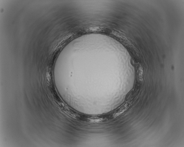 X0000071770746200607211531