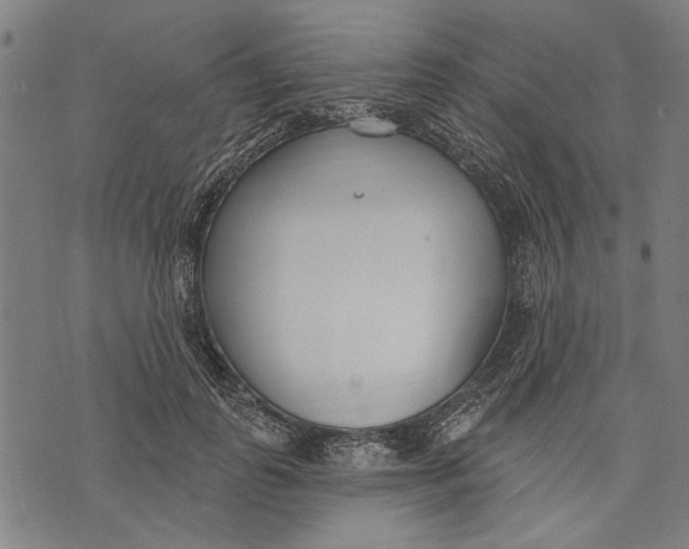 X0000071770747200607211531