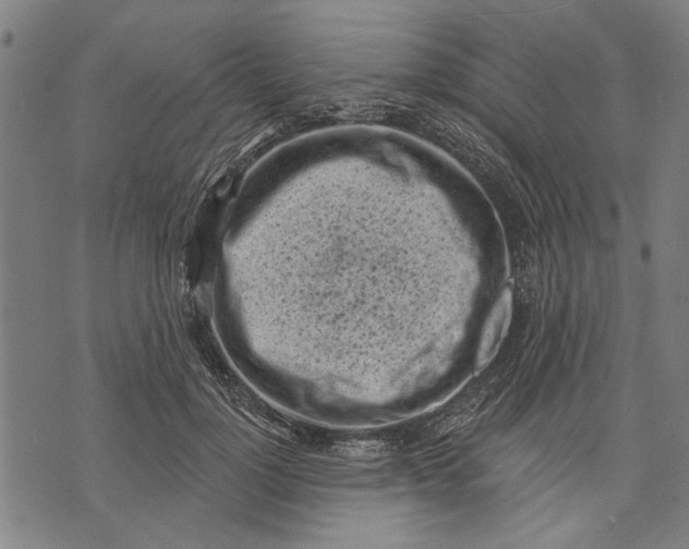 X0000071770748200607211531