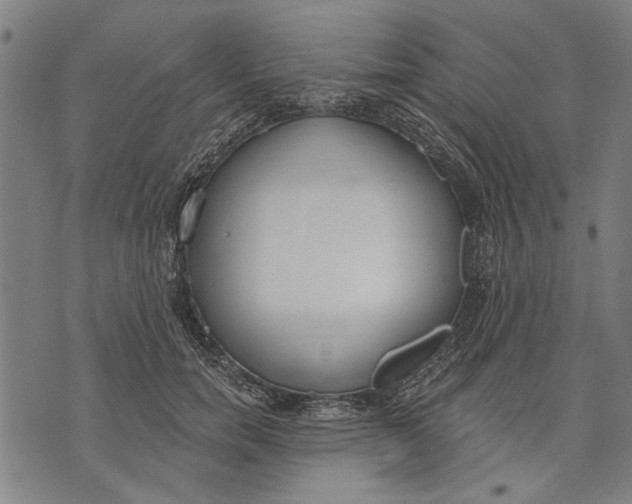 X0000071770750200607211531