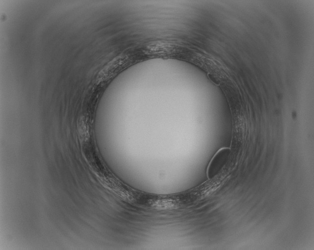 X0000071770751200607211531