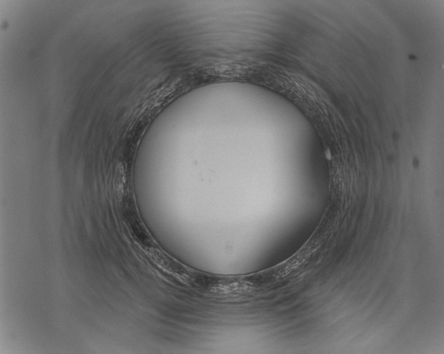 X0000071770752200607211531