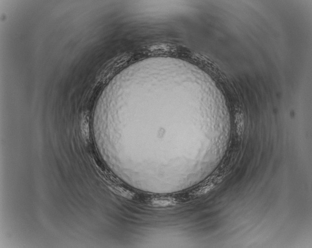 X0000071770753200607211531