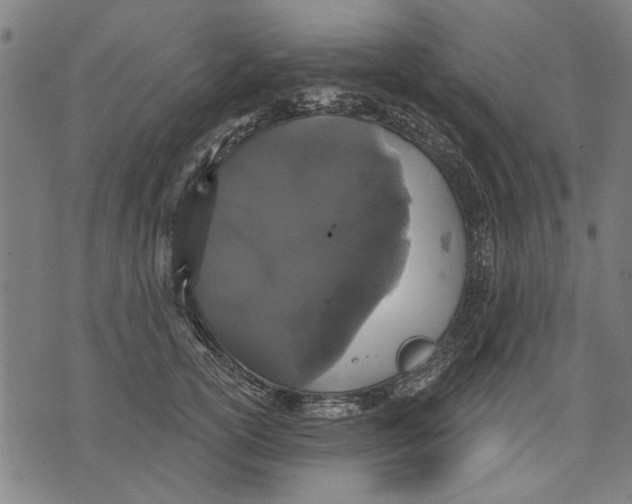 X0000071770754200607211531