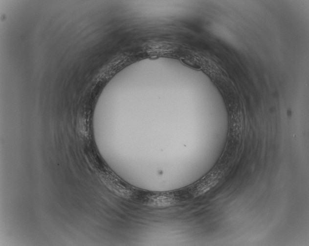 X0000071770755200607211531