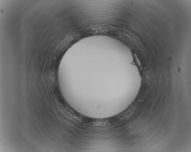 X0000071770756200607211531