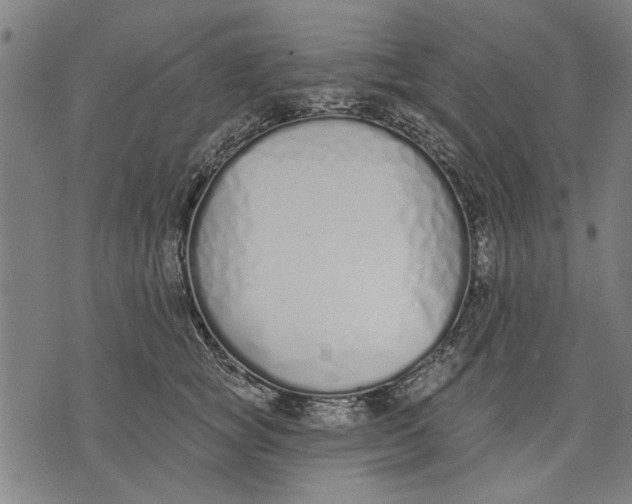 X0000071770757200607211531