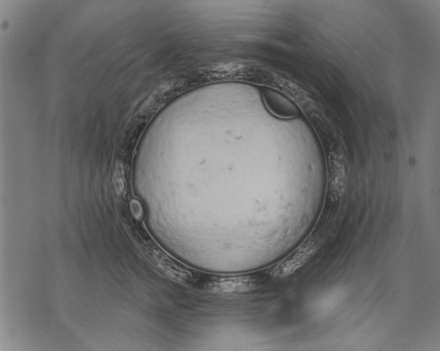 X0000071770758200607211531