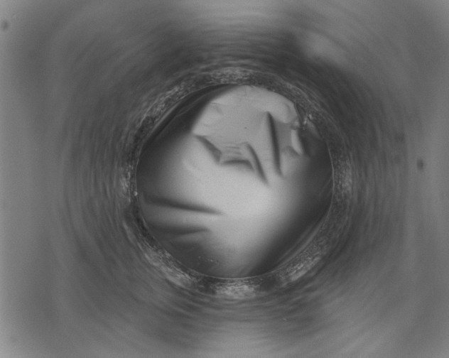 X0000071770759200607211531