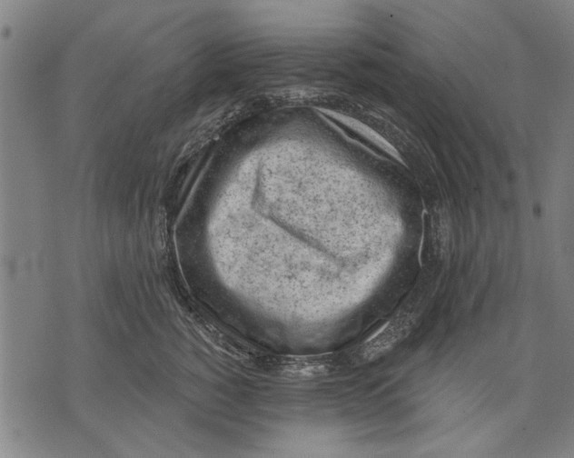 X0000071770760200607211532