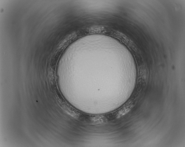 X0000071770761200607211532