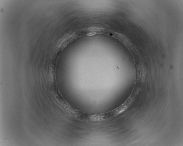 X0000071770762200607211532