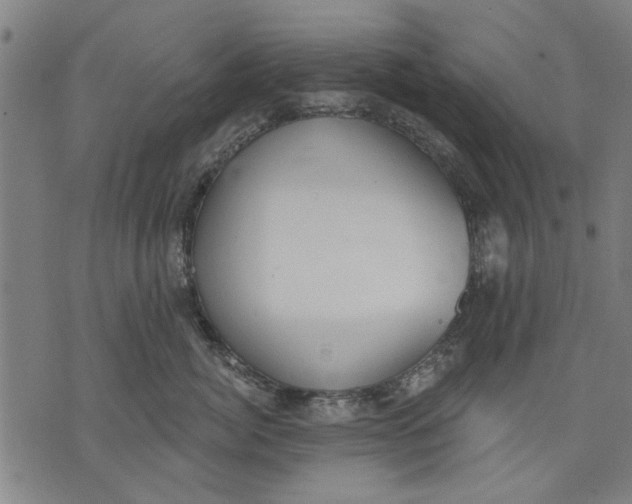 X0000071770764200607211532