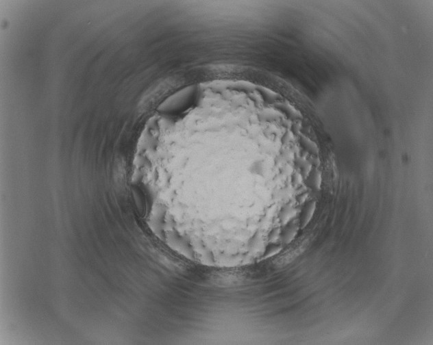 X0000071770765200607211532