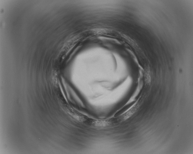 X0000071770766200607211532