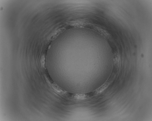 X0000071770767200607211532