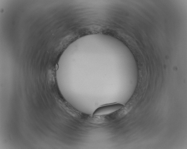 X0000071770768200607211532