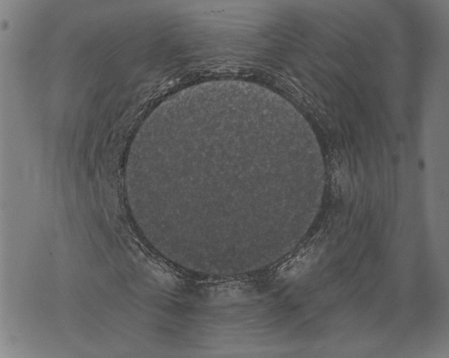 X0000071770769200607211531