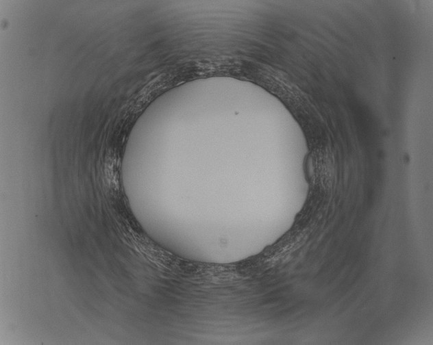 X0000071770770200607211531