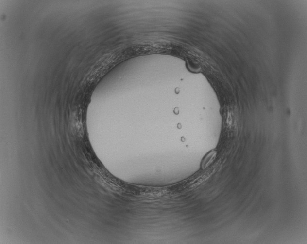 X0000071770771200607211531