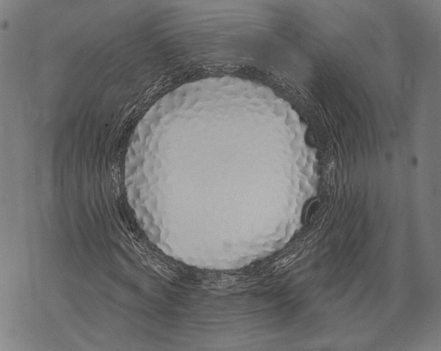 X0000071770772200607211531