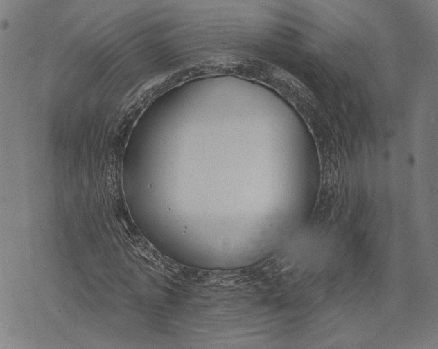 X0000071770773200607211531