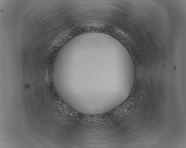 X0000071770774200607211531