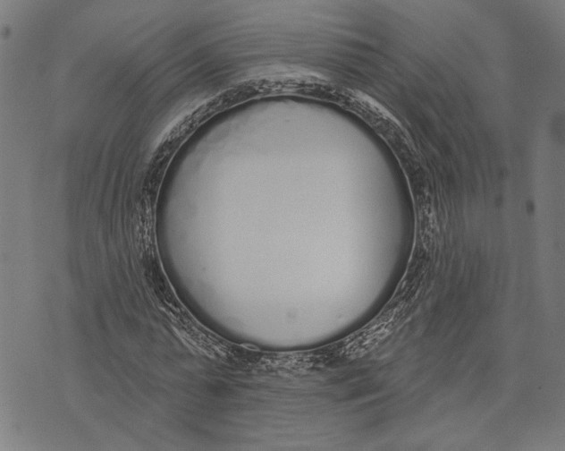 X0000071770775200607211531