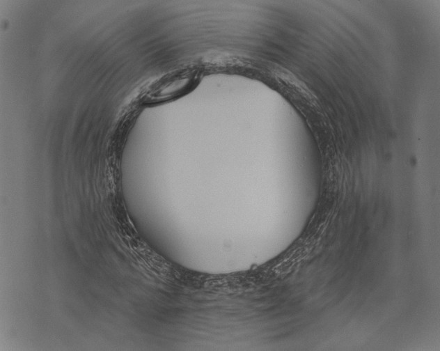 X0000071770776200607211531