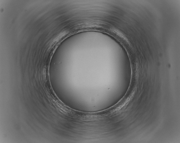 X0000071770777200607211531