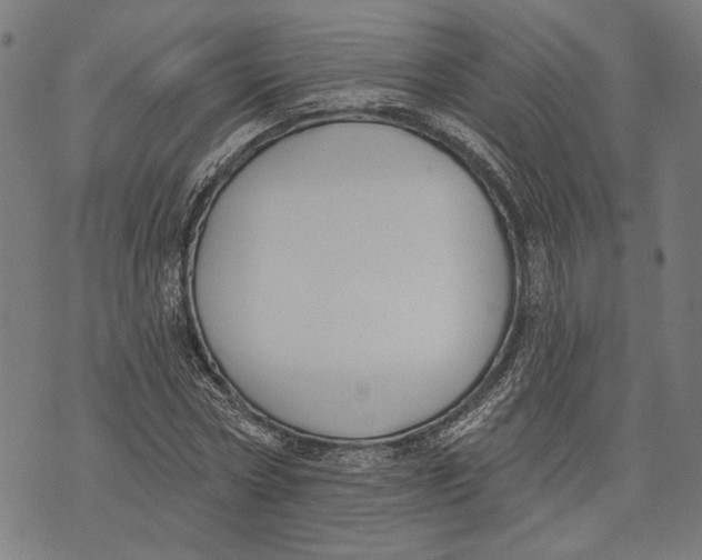 X0000071770778200607211531