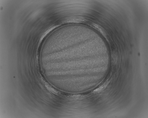 X0000071770779200607211531