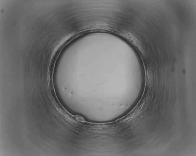 X0000071770780200607211531