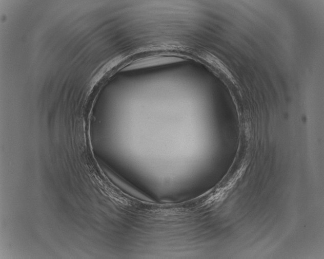 X0000071770781200607211531