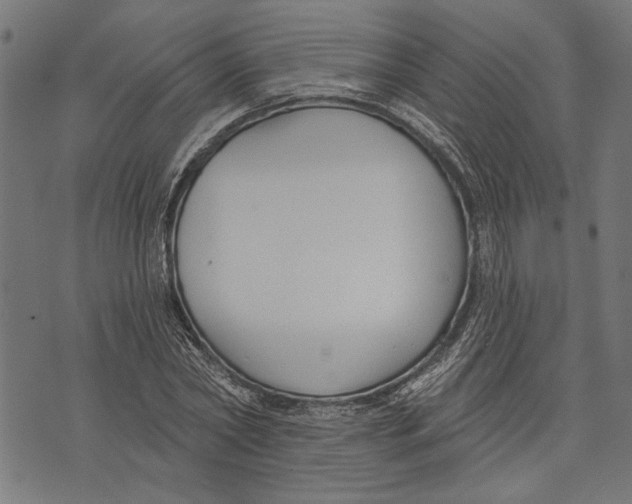 X0000071770782200607211531