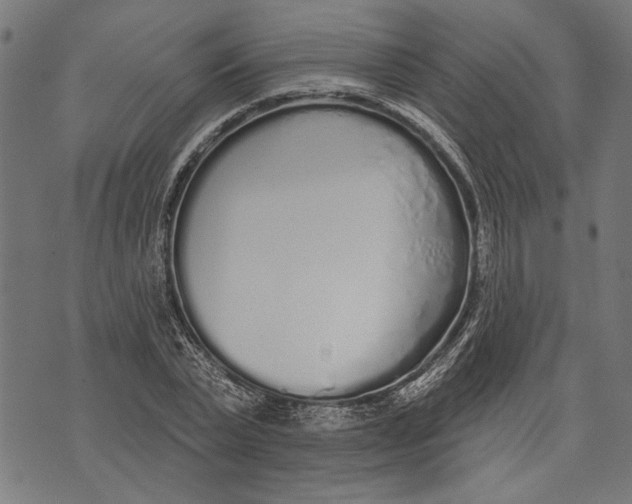 X0000071770783200607211531